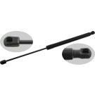 FEBI BILSTEIN 27736 Gasfeder, Koffer-/Laderaum