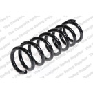 4215615 Fahrwerksfeder