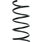 Spidan | Fahrwerksfeder | 55747