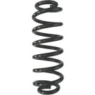 Spidan | Fahrwerksfeder | 87951