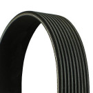 ContiTech | Keilrippenriemen | 9PK4145