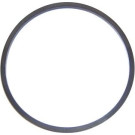 Elring | Dichtung, Kraftstoffilter | 731.269