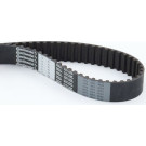 CT954 Zahnriemen CT954 Zahnriemen