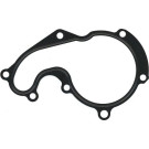 027.811 Dichtung, Wasserpumpe