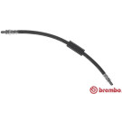 Brembo | Bremsschlauch | T 24 129