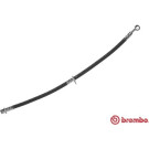 Brembo | Bremsschlauch | T 28 091