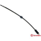 Brembo | Bremsschlauch | T 61 028