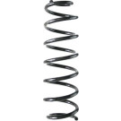 Spidan | Fahrwerksfeder | 86565