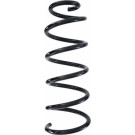 Spidan | Fahrwerksfeder | 87829
