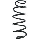 Spidan | Fahrwerksfeder | 87559