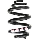 Spidan | Fahrwerksfeder | 86853