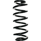 Spidan | Fahrwerksfeder | 56877
