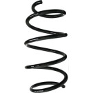 Spidan | Fahrwerksfeder | 88109