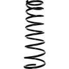 Spidan | Fahrwerksfeder | 55024