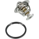 NRF | Thermostat, Kühlmittel | 725107