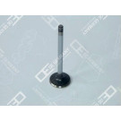 04 0520 101301 Auslassventil