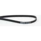 ContiTech | Keilrippenriemen | 5PK1212