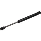 12-1564 Gasfeder, Koffer-/Laderaum