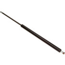 Maxgear | Gasfeder, Koffer-/Laderaum | 12-1620