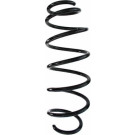 Spidan | Fahrwerksfeder | 87563