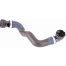 Vaico | Kühlerschlauch | V20-1762