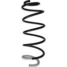 Spidan 2 x SPIDAN Fahrwerksfeder 87351