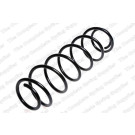 4272916 Fahrwerksfeder