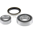 R177.28 Radlagersatz