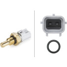 Hella | Sensor, Öltemperatur | 6PT 009 309-561