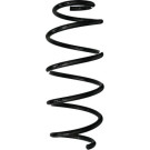 Spidan | Fahrwerksfeder | 87983