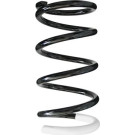 Spidan | Fahrwerksfeder | 56454