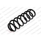 4295052 Fahrwerksfeder