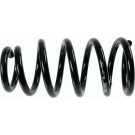 994 029 Fahrwerksfeder