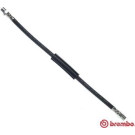 Brembo | Bremsschlauch | T 85 101
