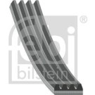 FEBI BILSTEIN 184842 Keilrippenriemen