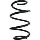 Spidan | Fahrwerksfeder | 87855