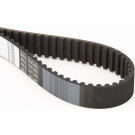 CT619 Zahnriemen CT619 Zahnriemen