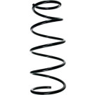Spidan | Fahrwerksfeder | 49525