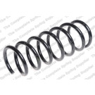 4295862 Fahrwerksfeder