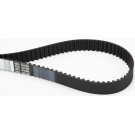 CT1110 Zahnriemen CT1110 Zahnriemen