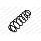 4226134 Fahrwerksfeder