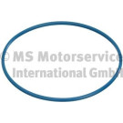 3.32038.00.0 Dichtung, Kraftstofftankverschluss