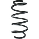 Spidan | Fahrwerksfeder | 87494