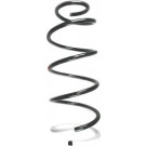 55245 Fahrwerksfeder