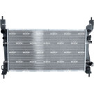 NRF | Kühler, Motorkühlung | 53982