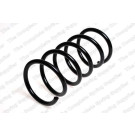 4295830 Fahrwerksfeder