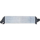 30273 Ladeluftkühler