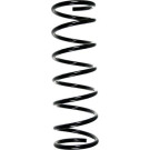 Spidan | Fahrwerksfeder | 49761