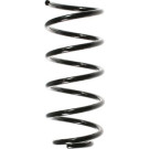 Spidan | Fahrwerksfeder | 56805