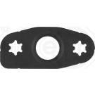 Elring | Dichtung, Ölauslass (Lader) | 642.800